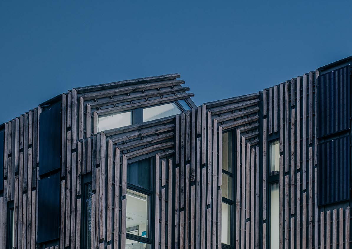 green – Bild 1